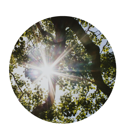 This image for Image Layouts addon